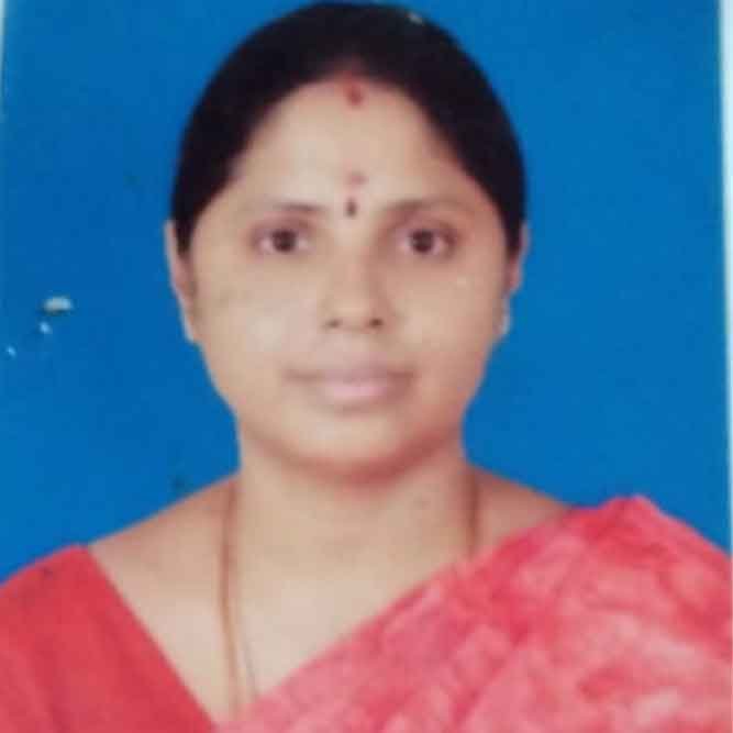 Vn .SAISELVIBALAKRISHNAN